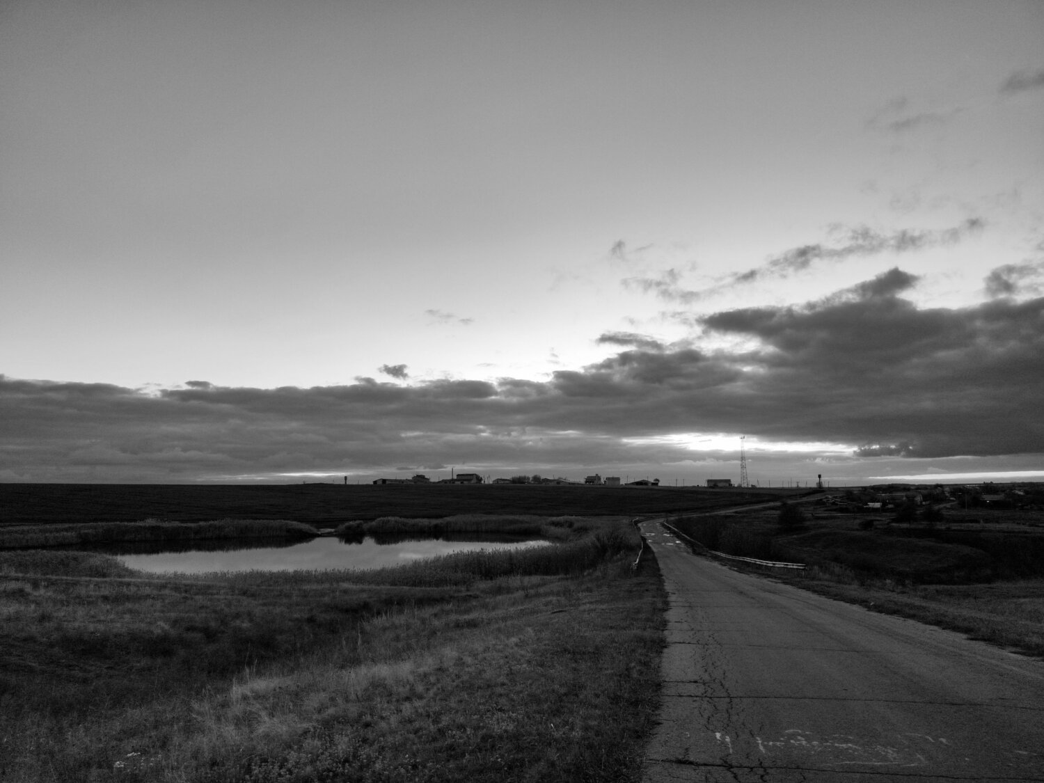 Photo #14098199