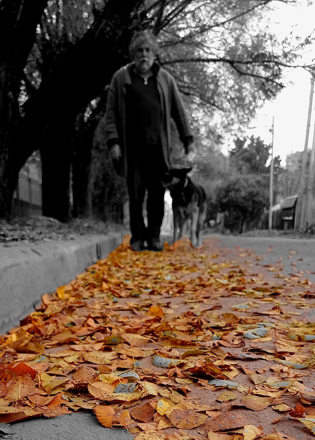 Photo #14098210