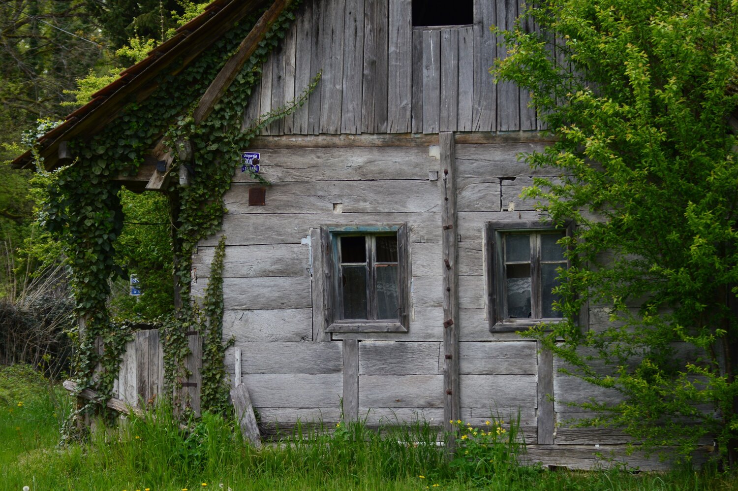 Photo #14098402