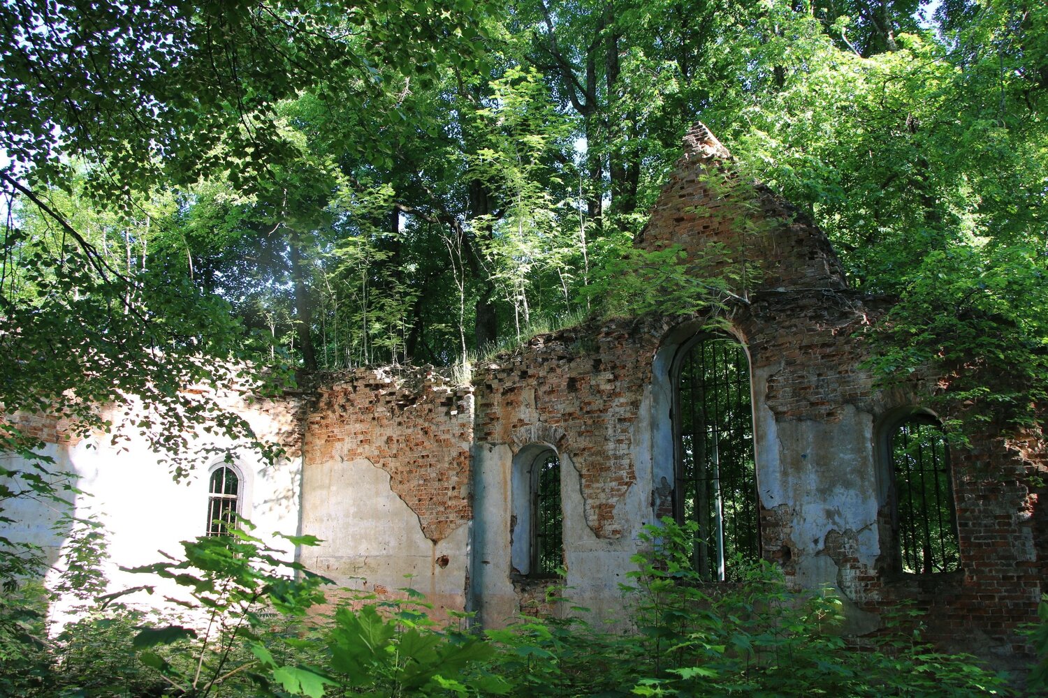 Photo #14098416