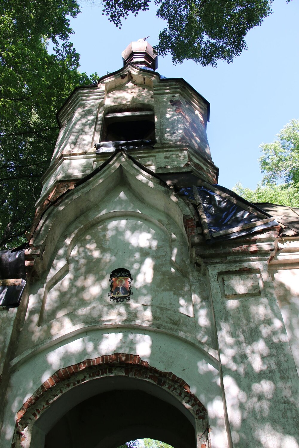 Photo #14098429