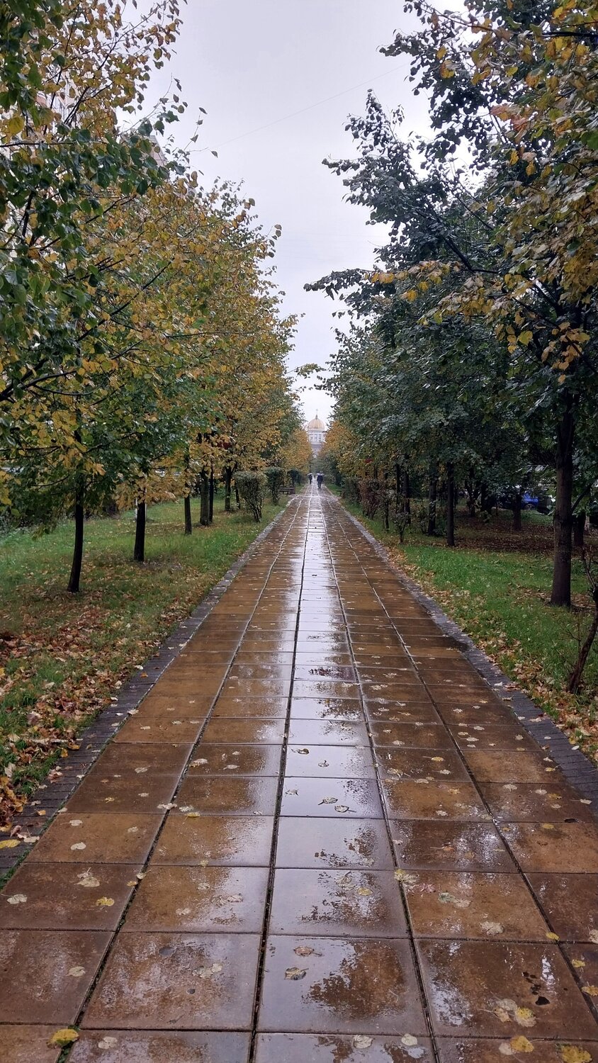Photo #14098434