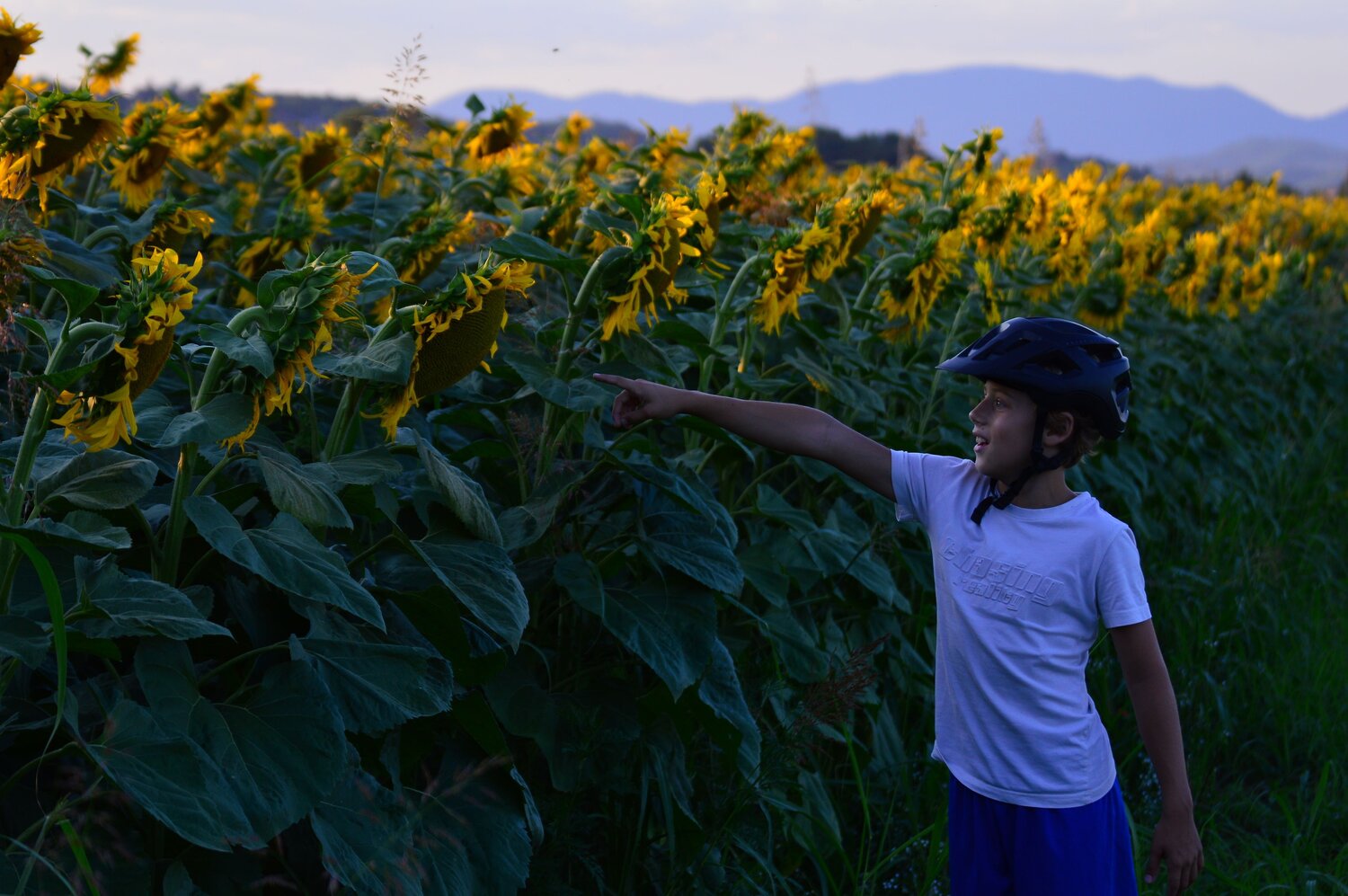 Photo #14098438