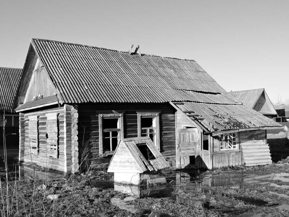 Photo #14098439