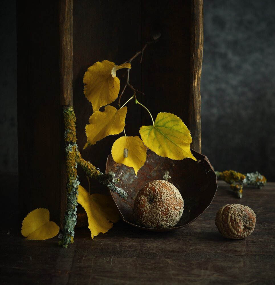 Photograph by Людмила Хрусталева*
