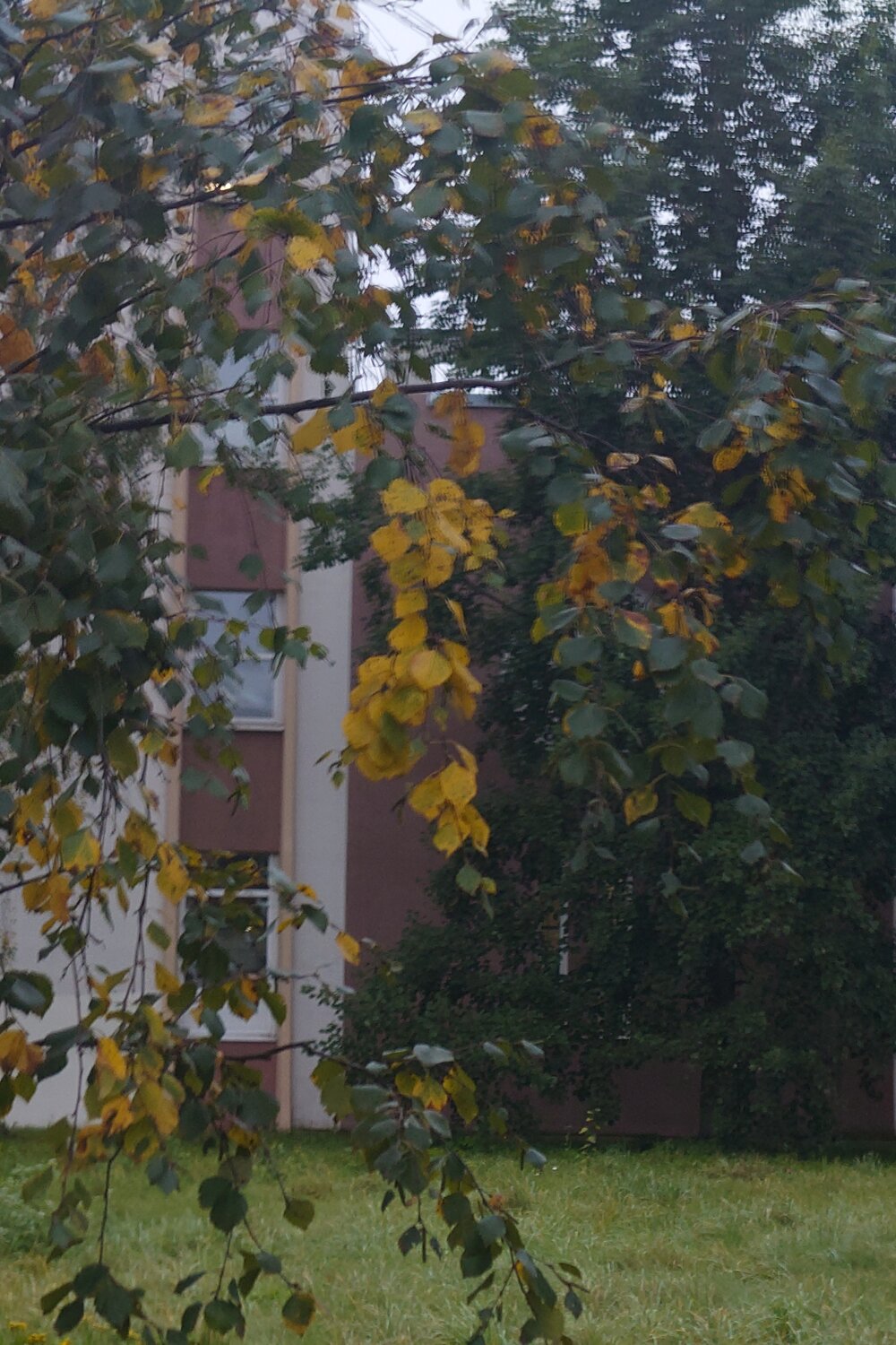 Photo #14098497