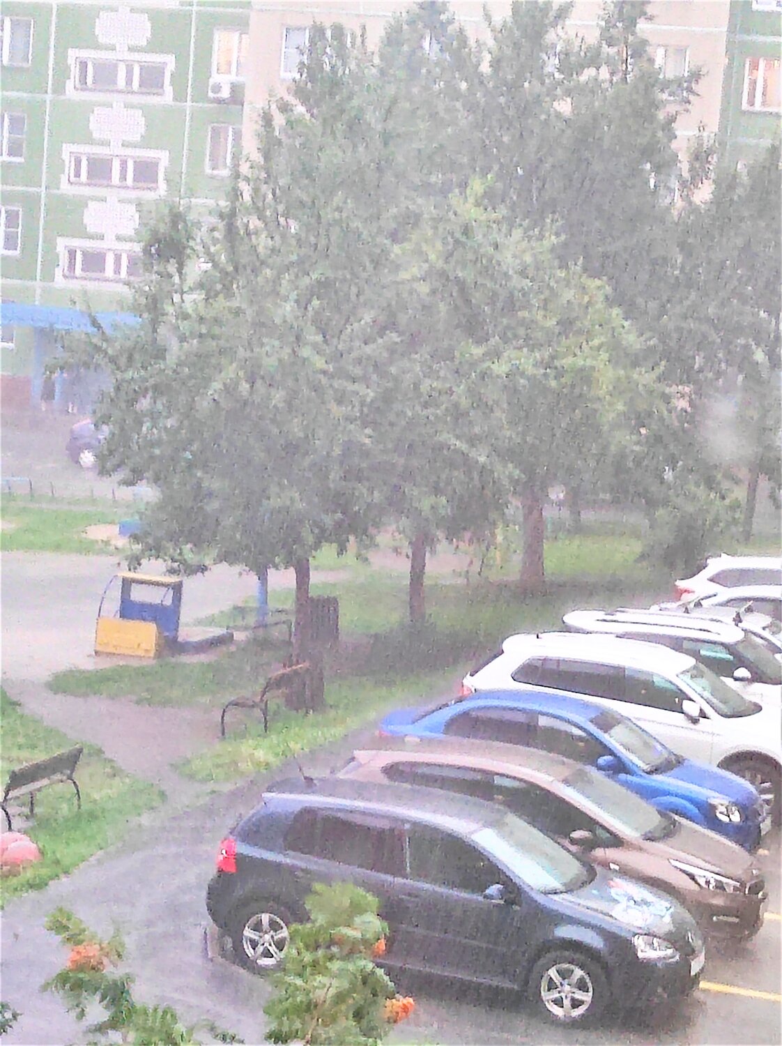 Photo #14098516