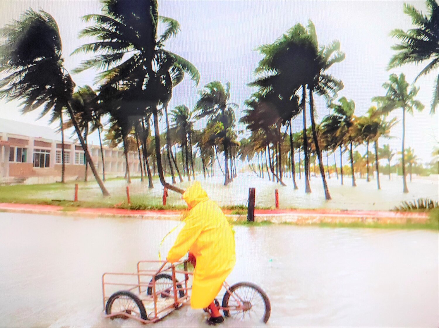 Photo #14098527