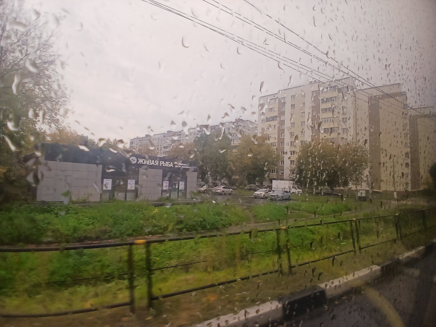 Photo #14098546