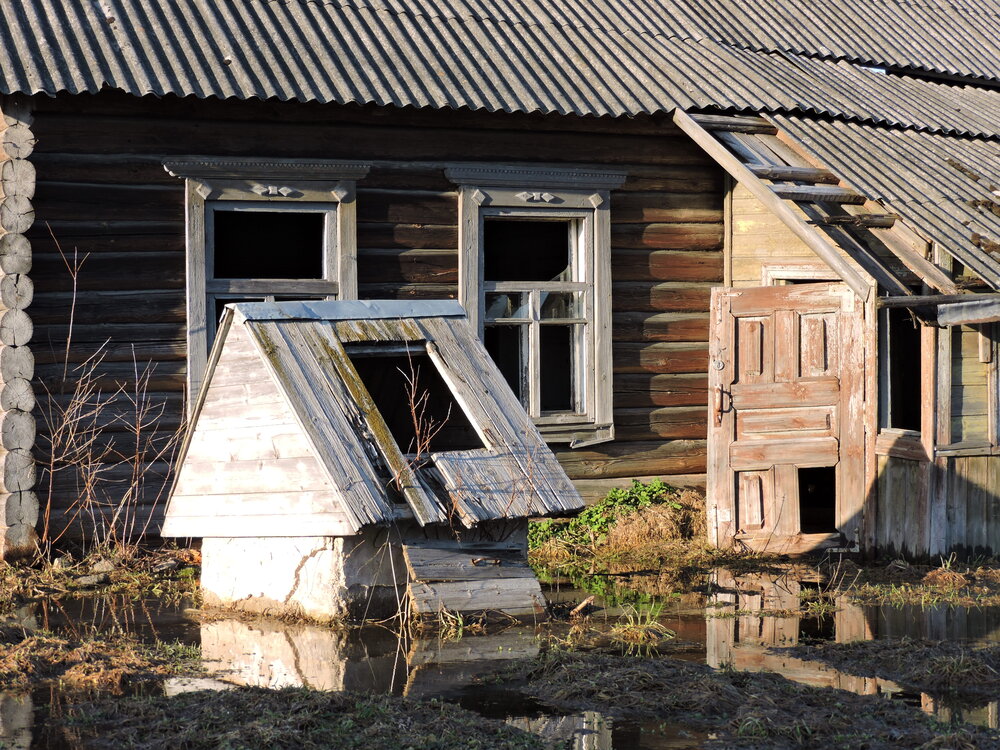 Photo #14098568
