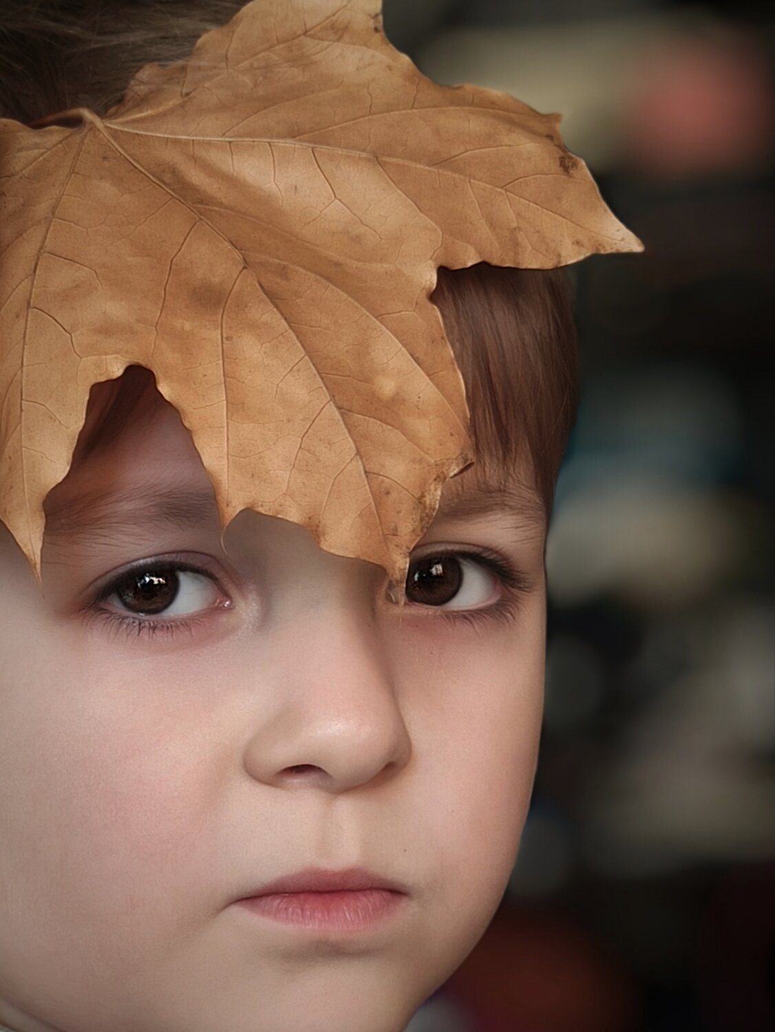 Photo #14098600