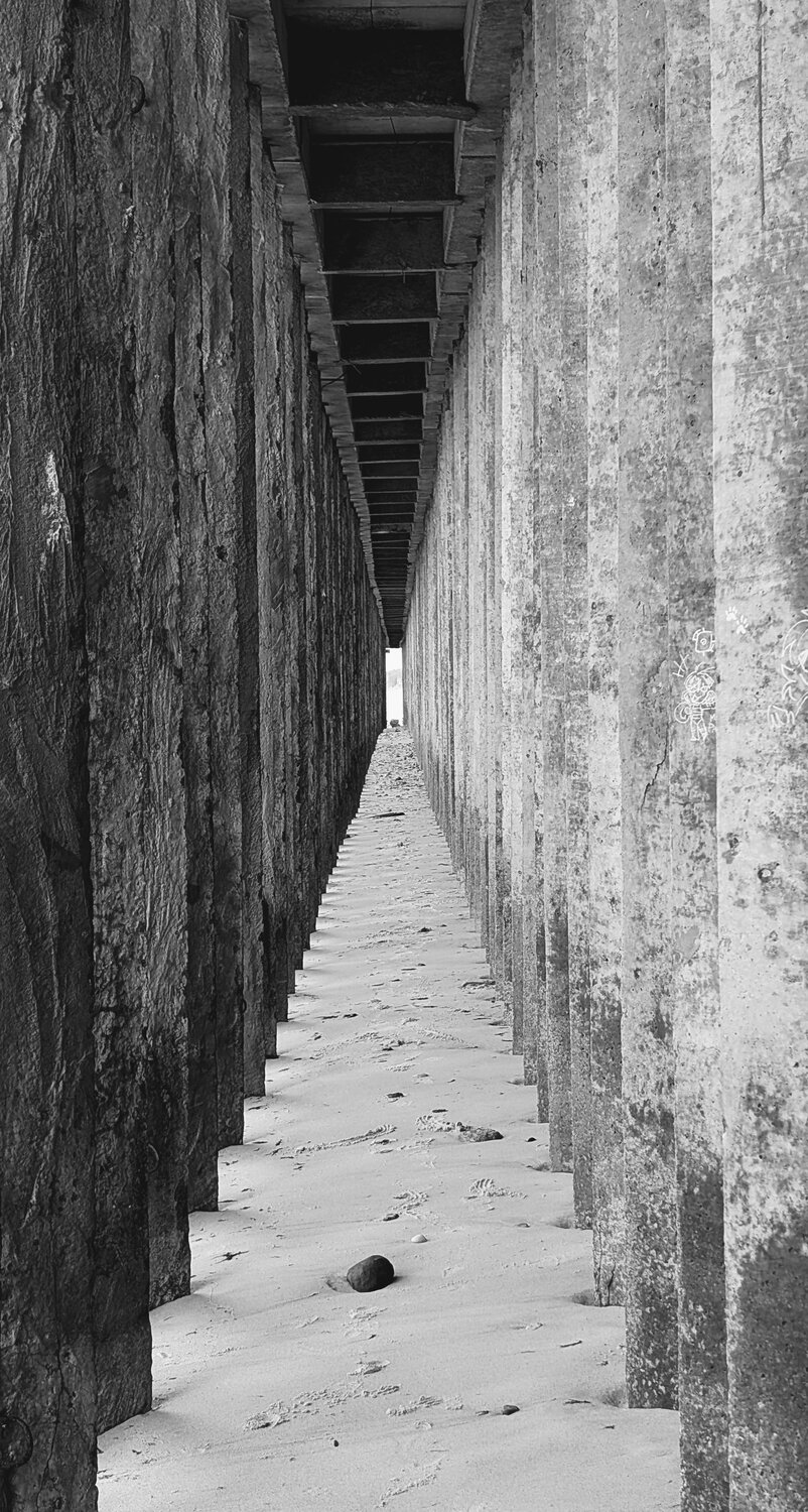 Photo #14098687