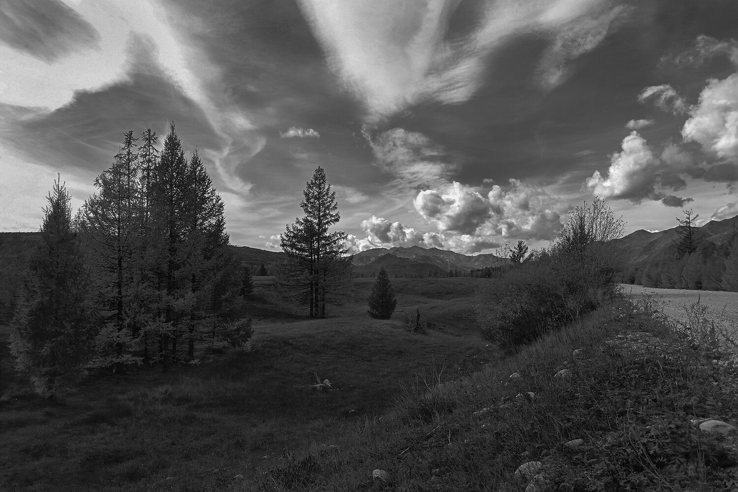 Photo #14098705