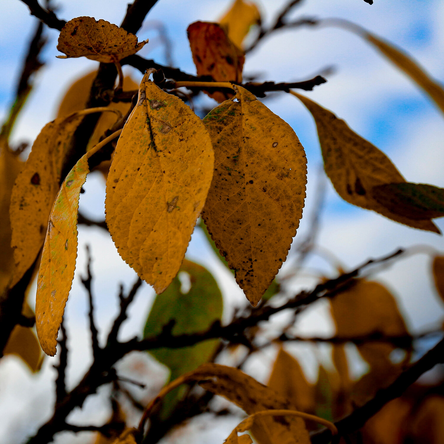 Photo #14098782