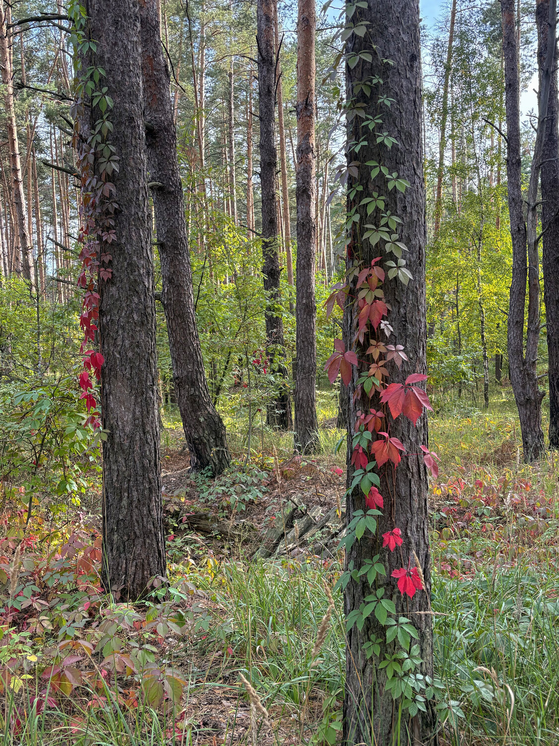 Photo #14098826