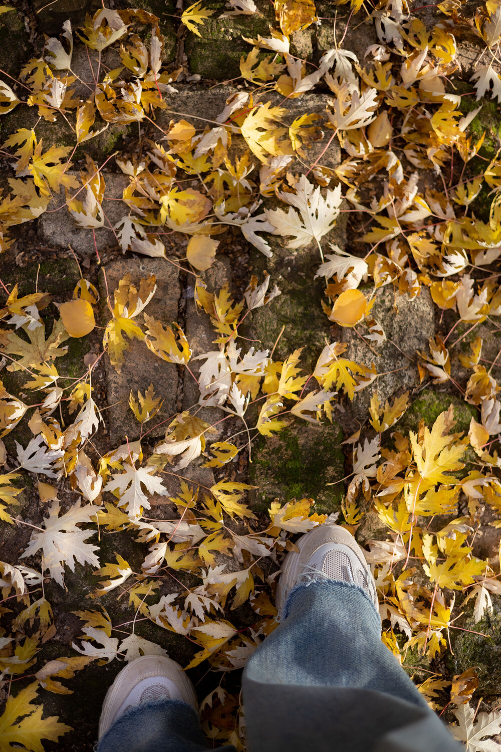 Photo #14098847