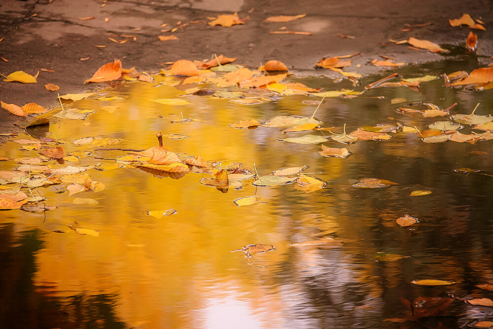 Photograph by Алексей Трифонов