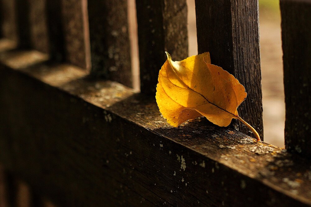Photograph by Екатерина Зязина