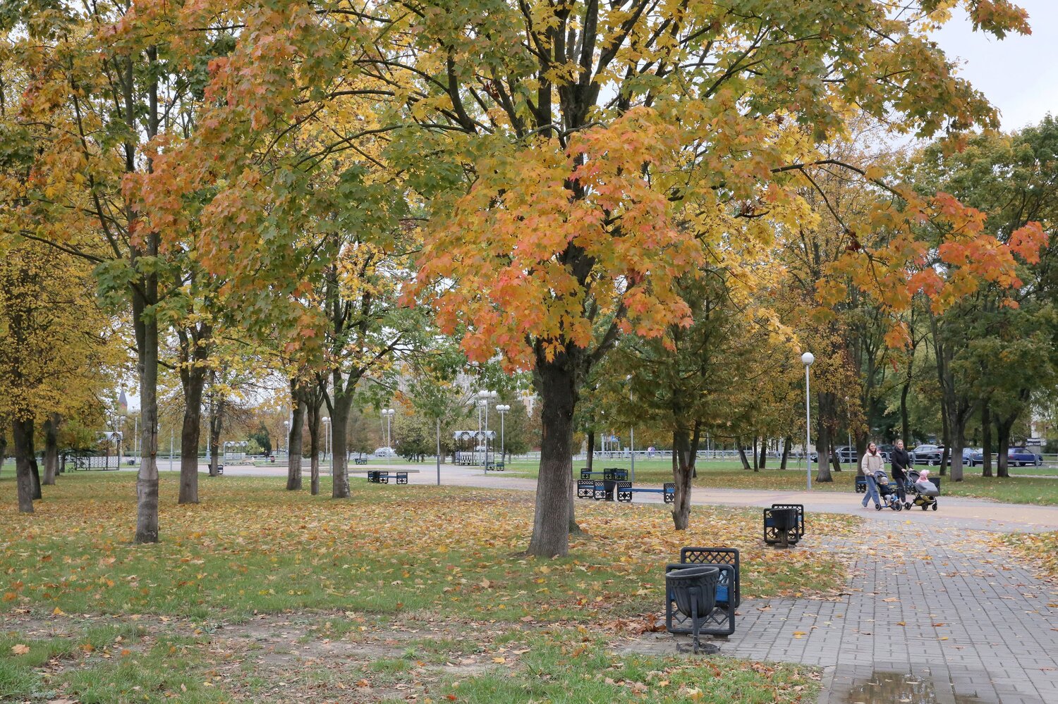 Photo #14098877