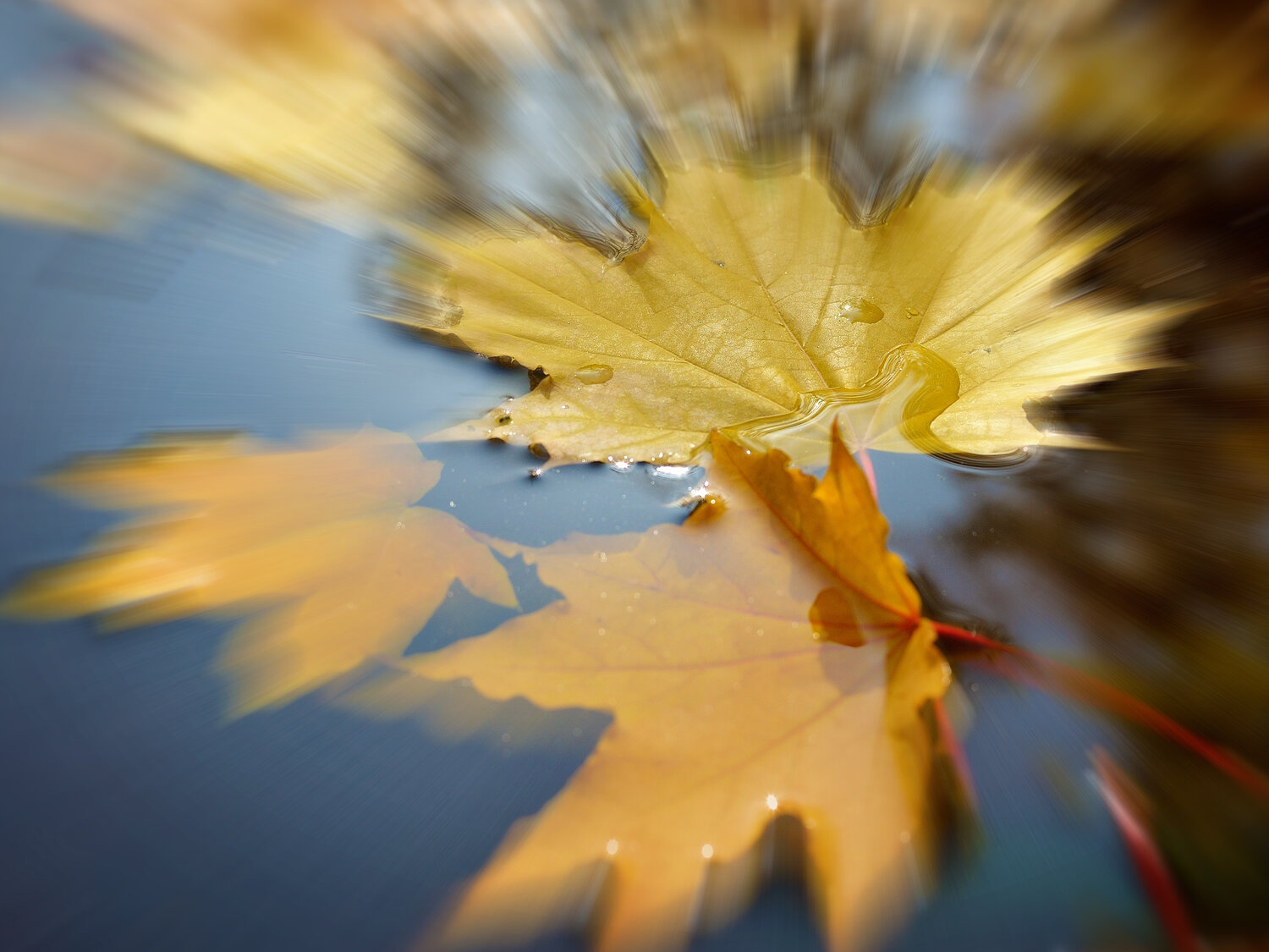 Photo #14098884