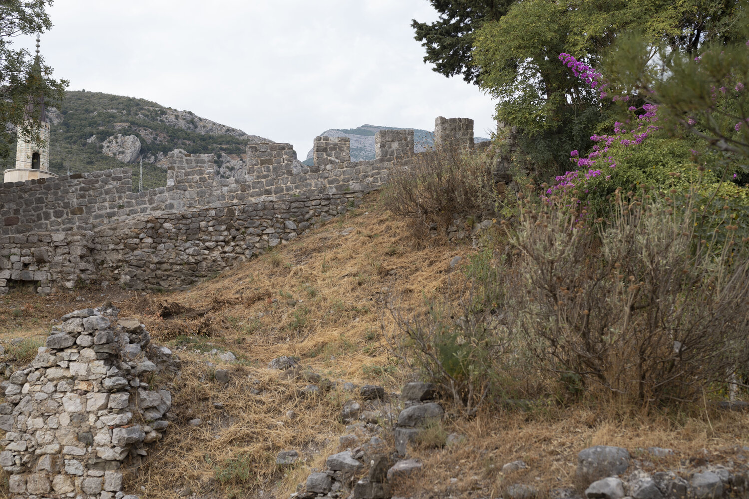 Photo #14098948
