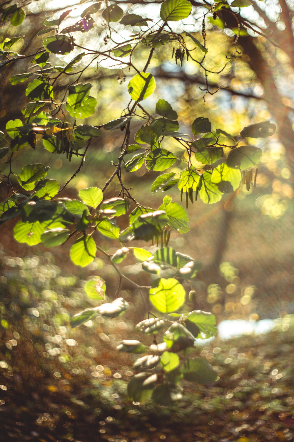 Photo #14098978