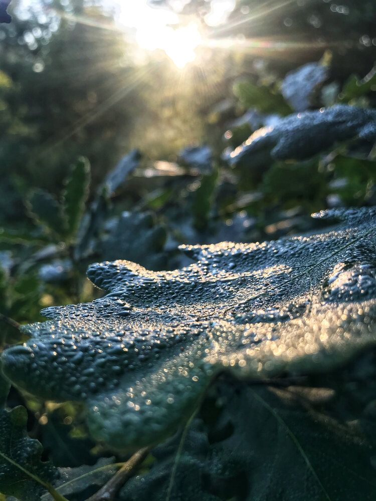 Photograph by Ирина