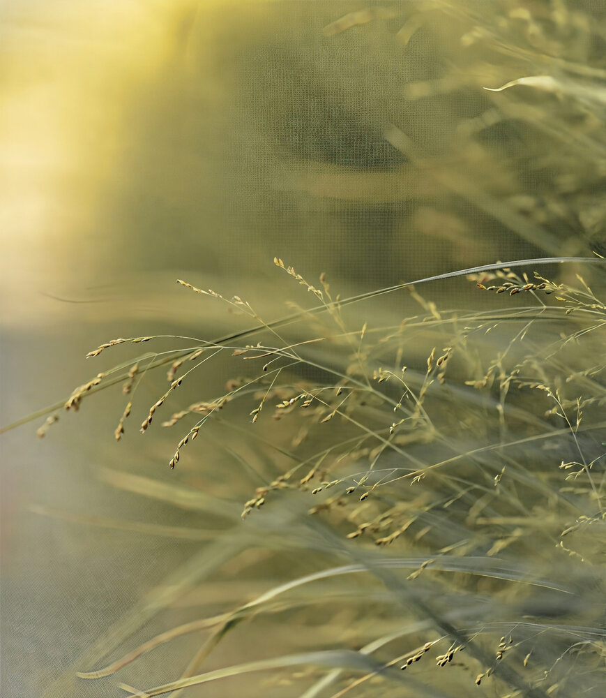Photograph by Igor Lukin