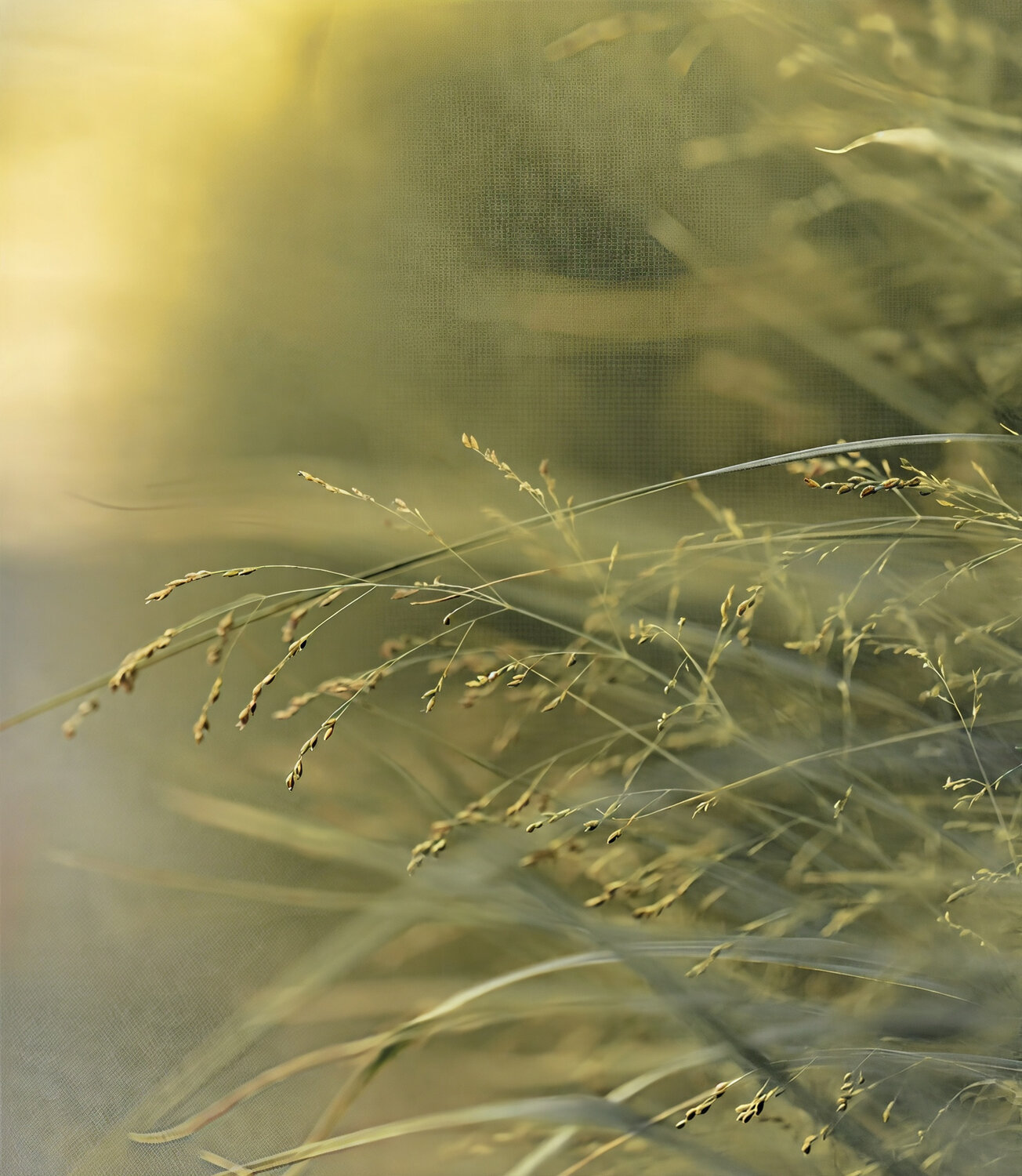 Photo #14099095