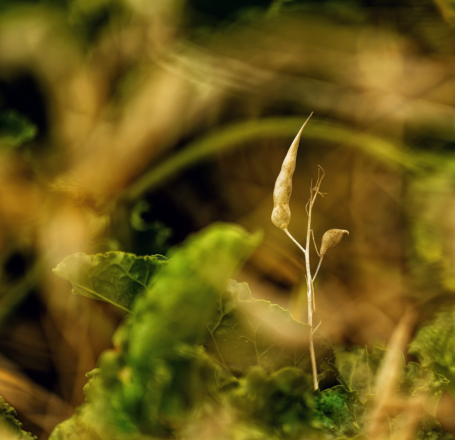 Photo #14099096