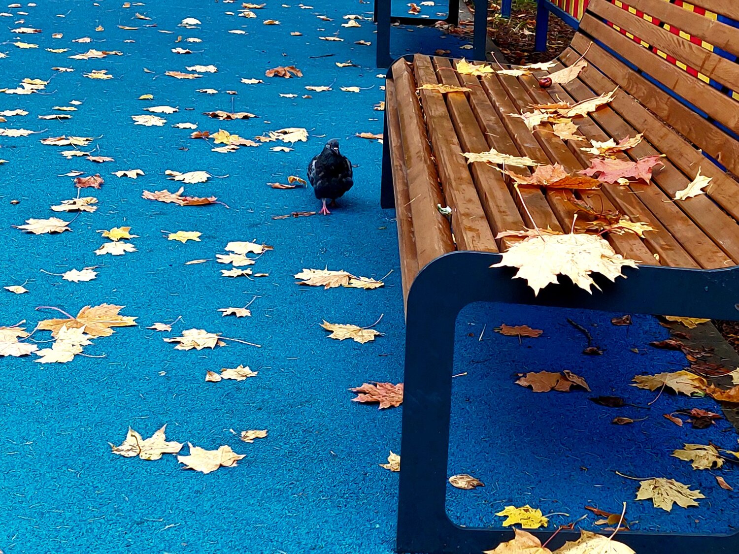 Photo #14099138