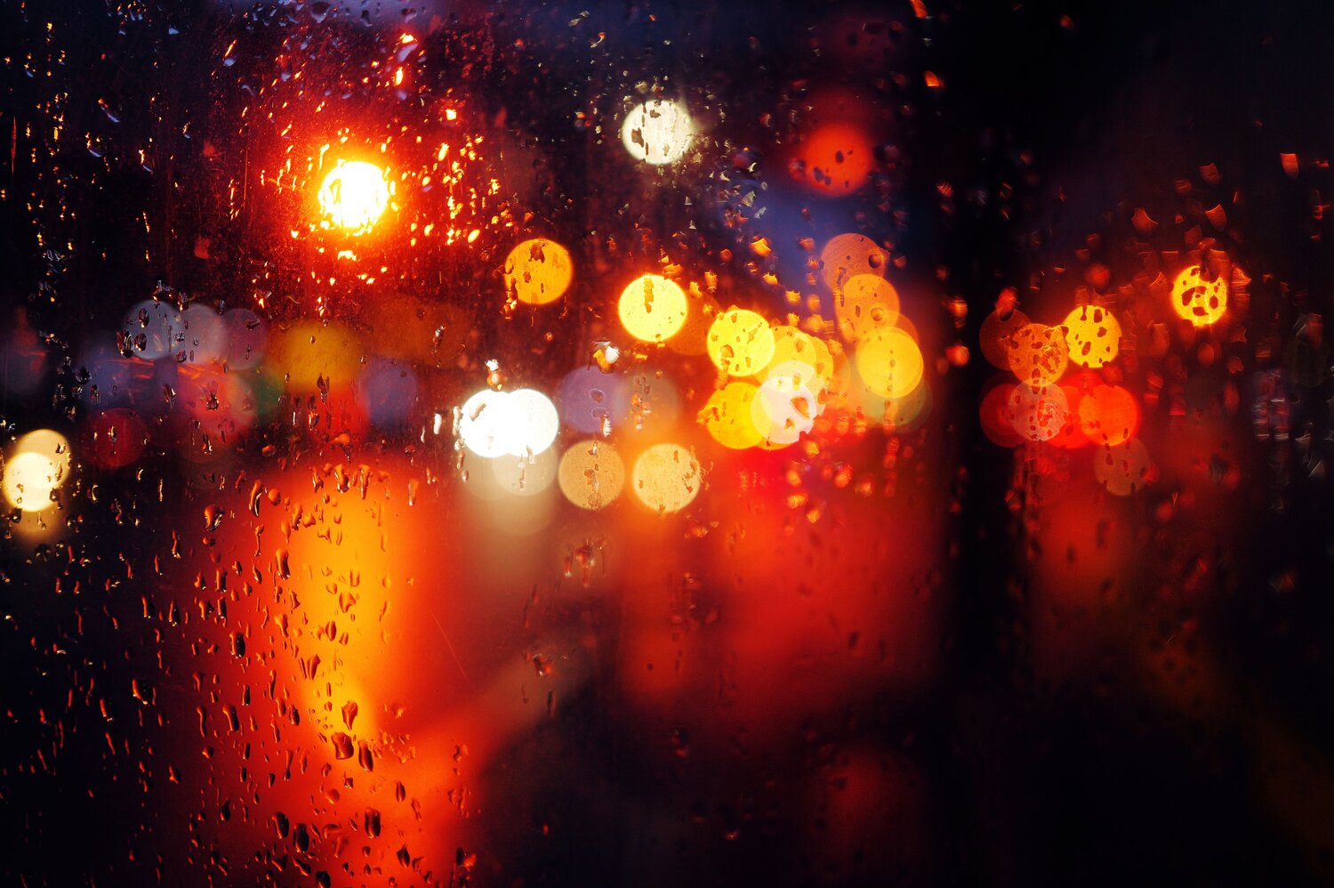 Photo #14099154