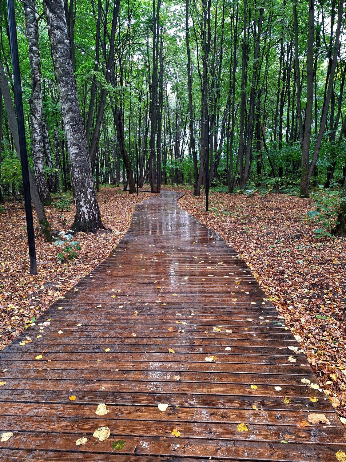 Photo #14099256
