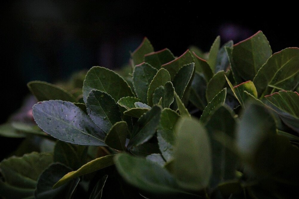 Photograph by Ольга Некрасова