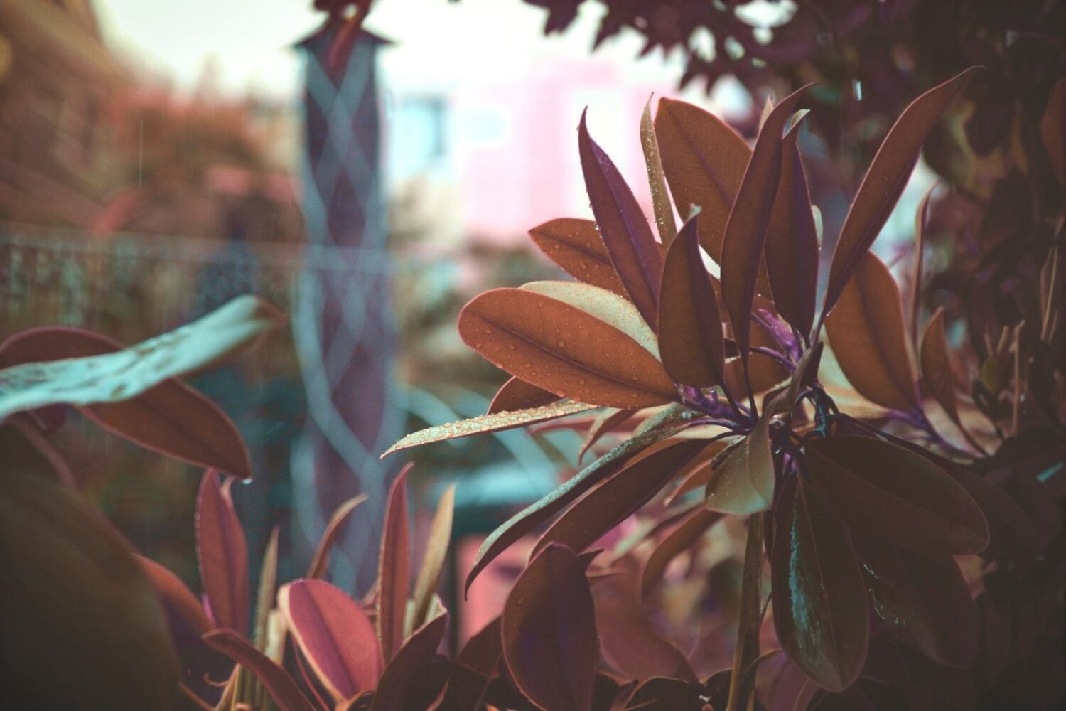 Photo #14099310