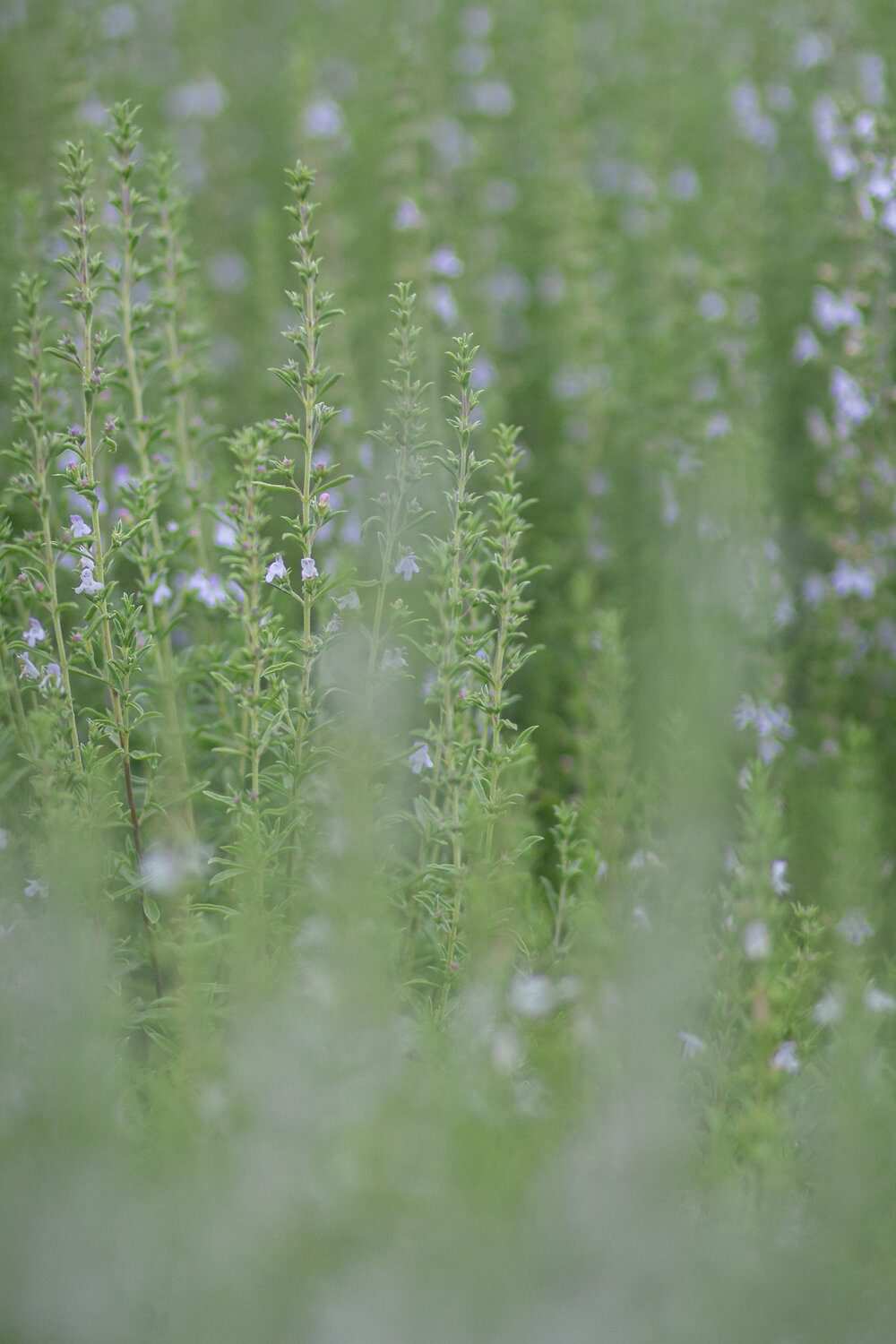 Photo #14099328