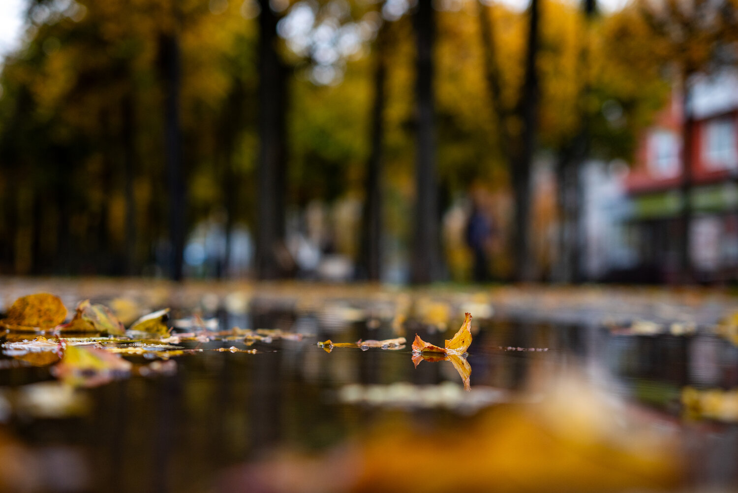 Photo #14099377