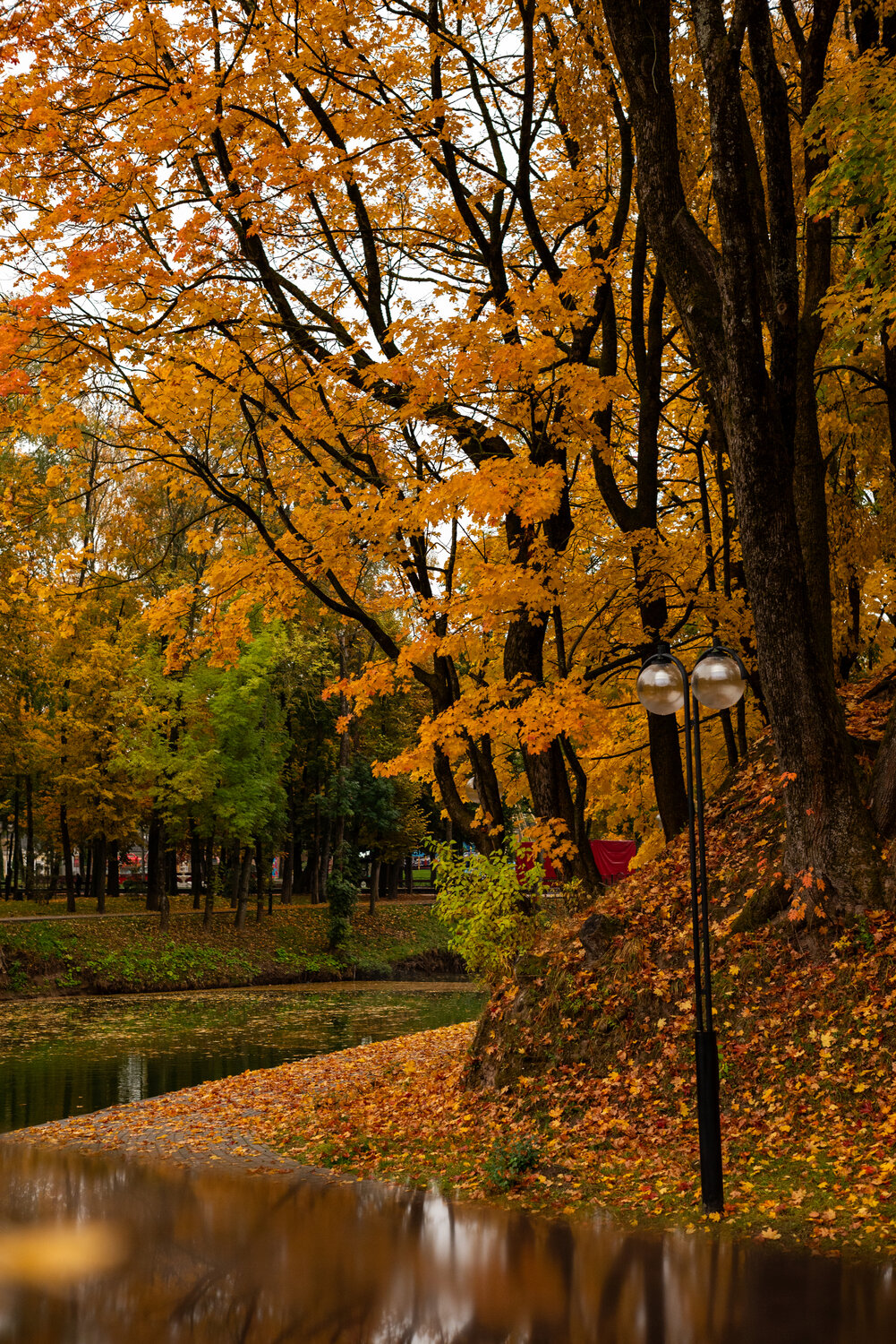 Photo #14099384