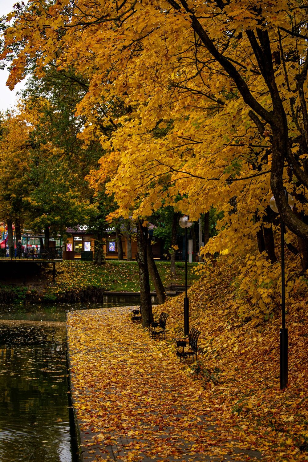 Photo #14099387