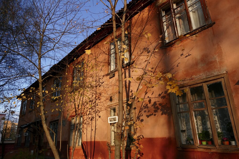 Red Autumn