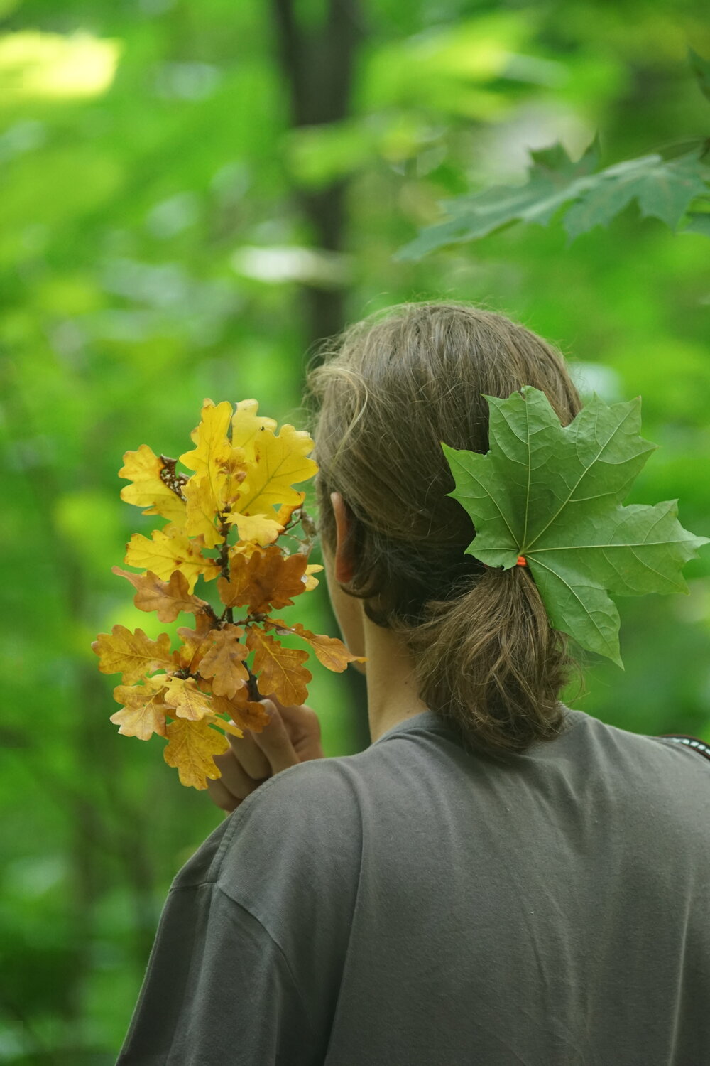 Photo #14099500
