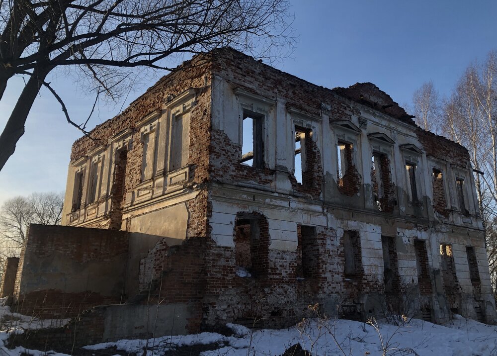 Фотография автора Яна Цицилашвили