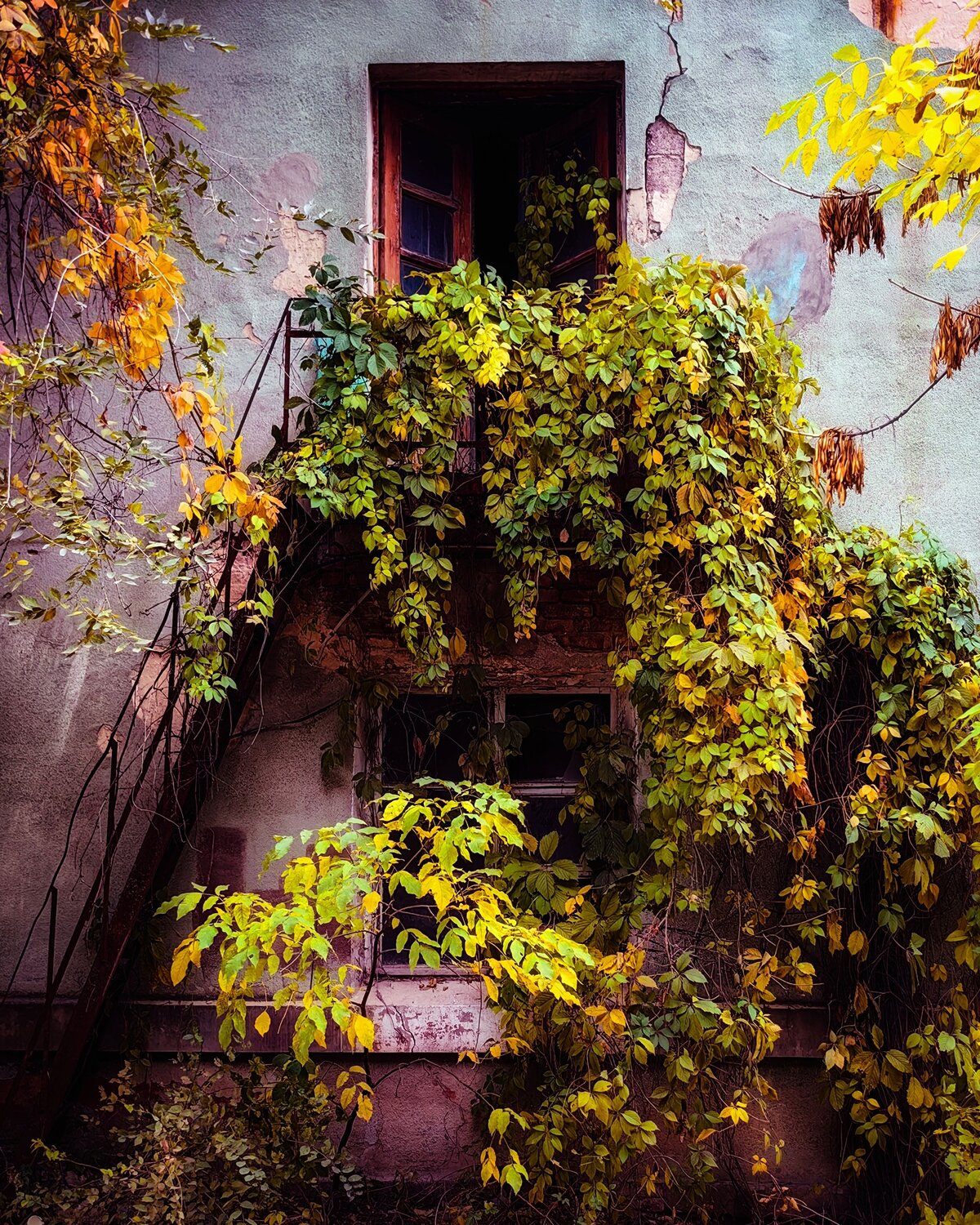Photo #14099578
