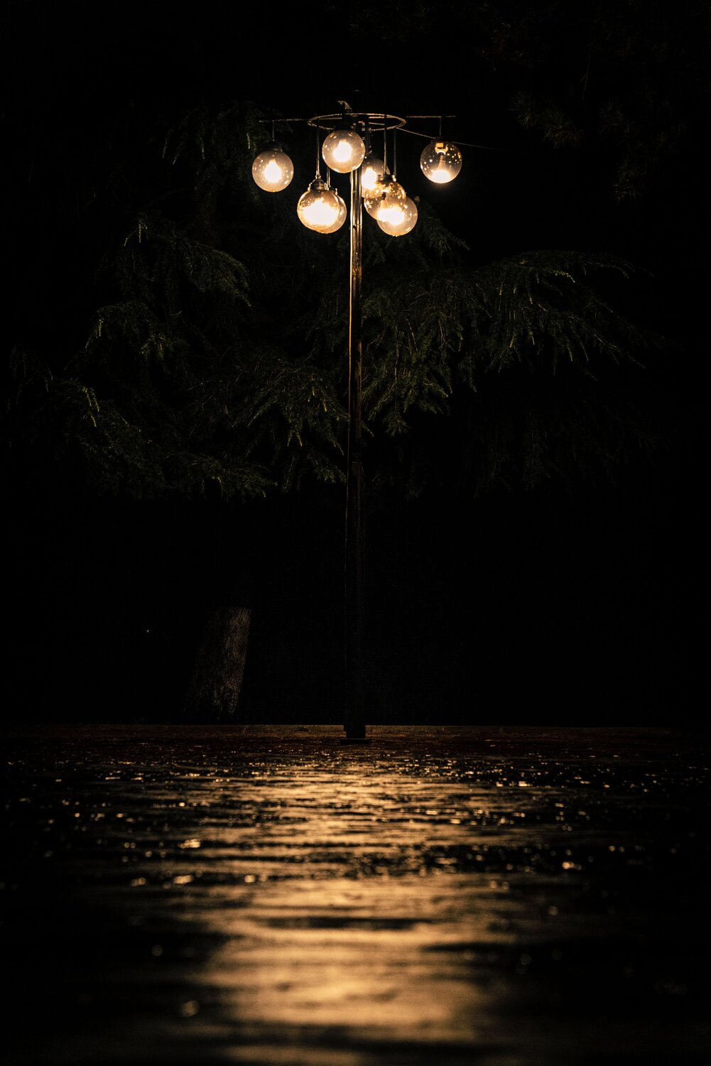Photo #14099581