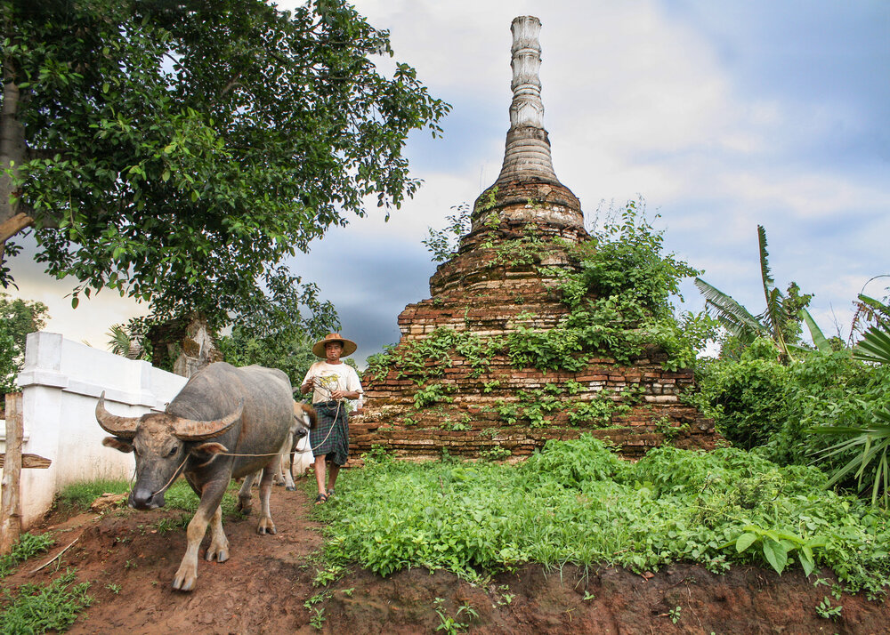Photograph by Татьяна Михалевская