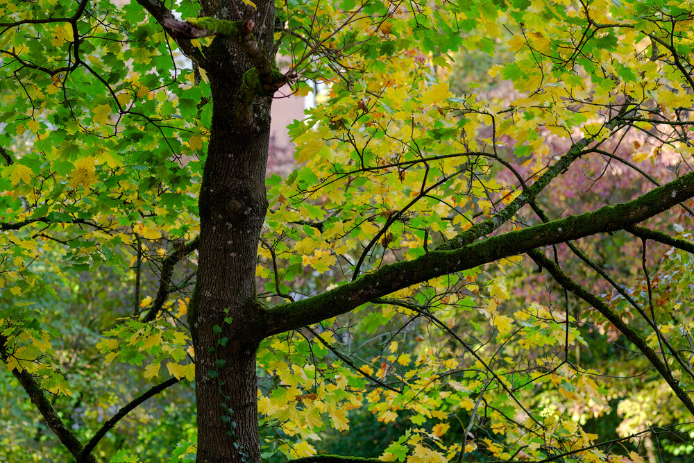 Photograph by Ruzhdi Ibrahimi