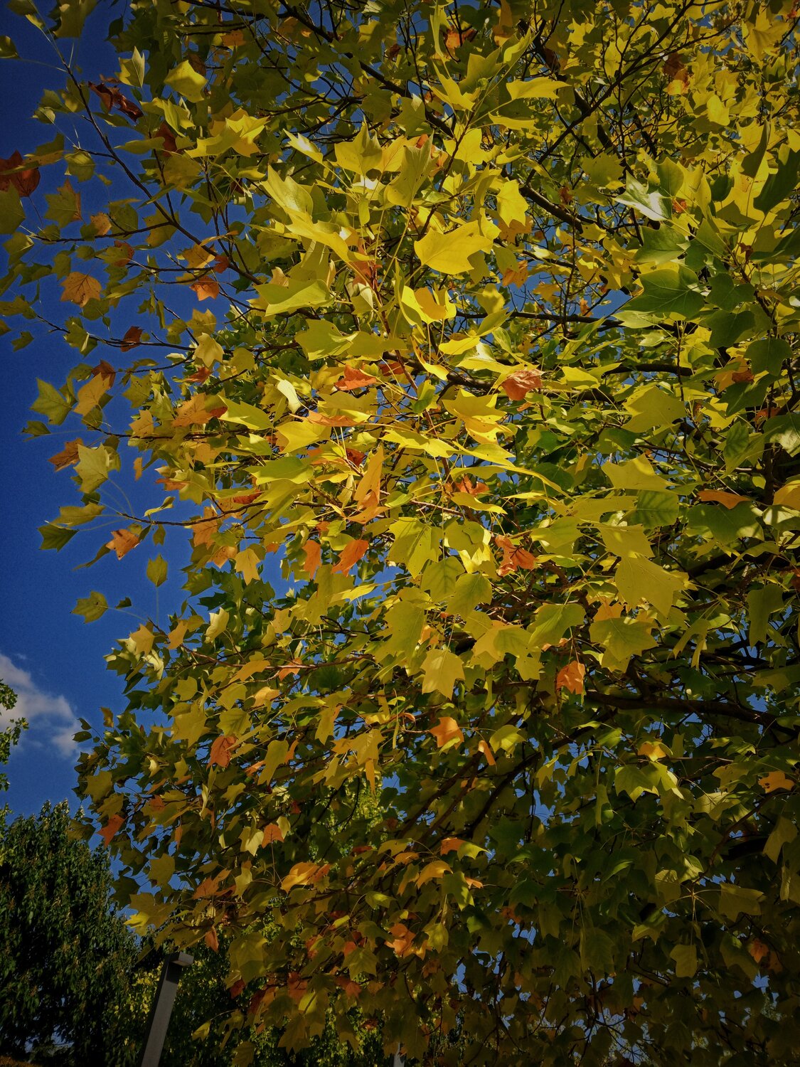 Photo #14099610