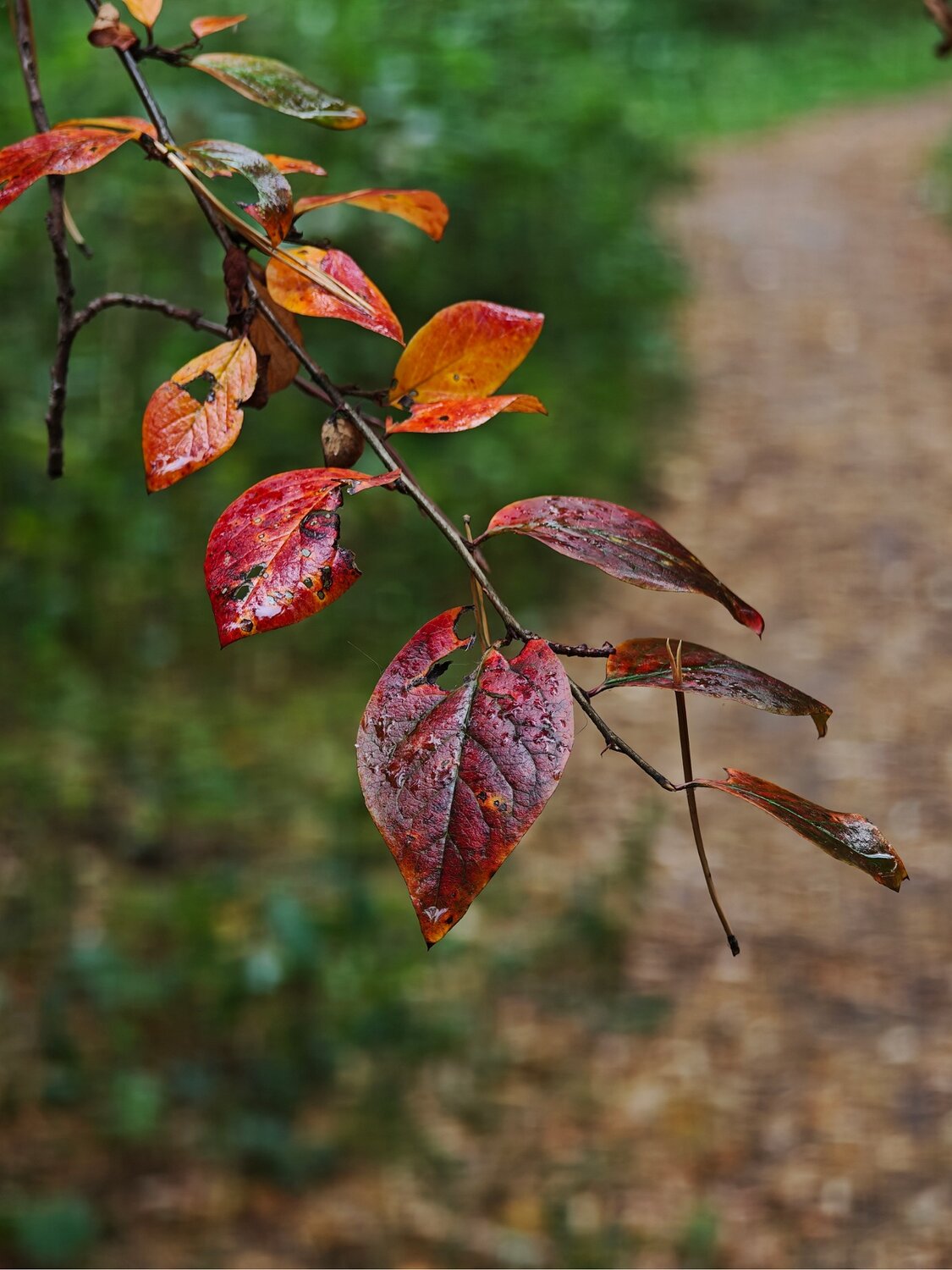 Photo #14099611