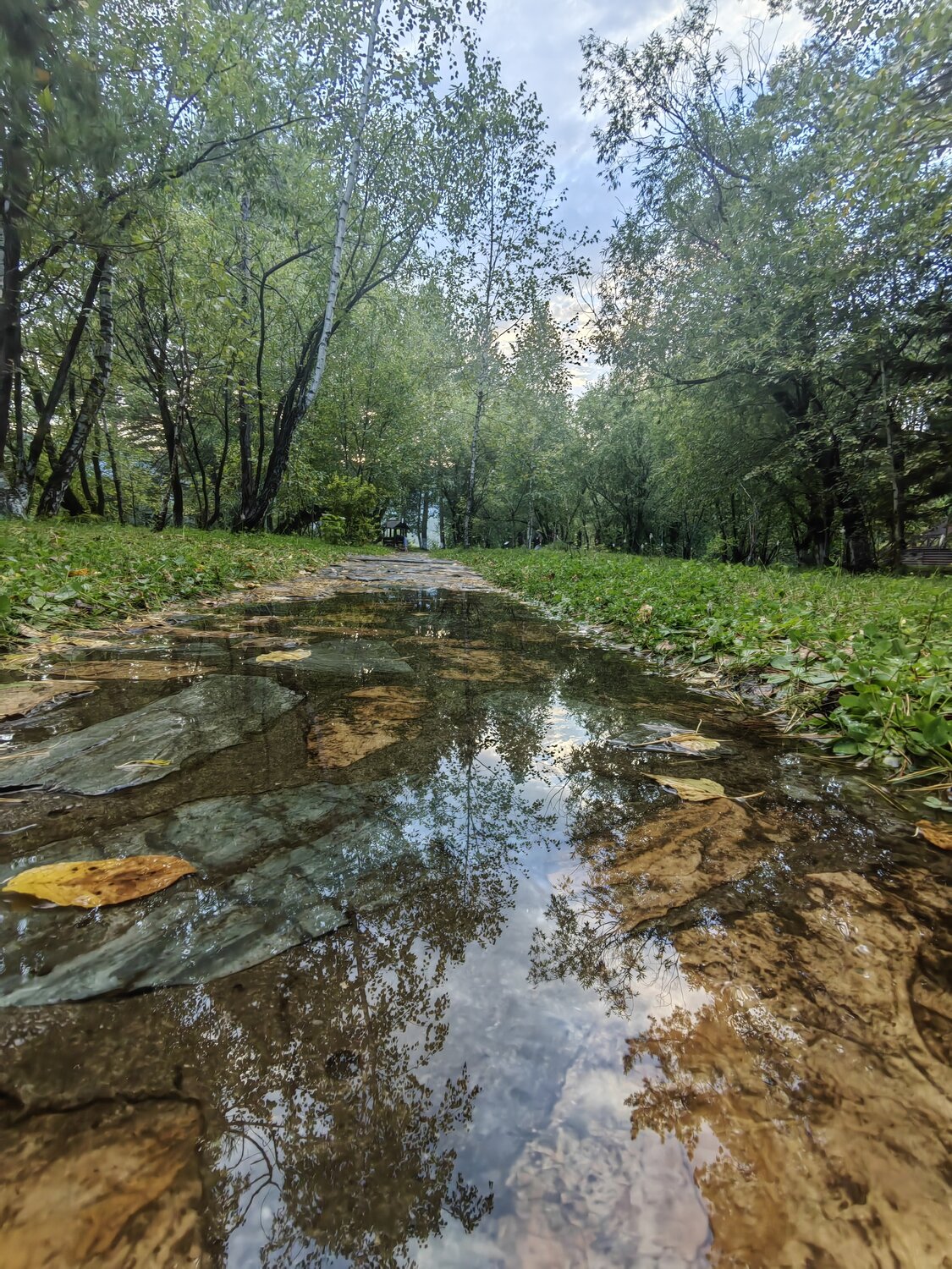 Photo #14099681