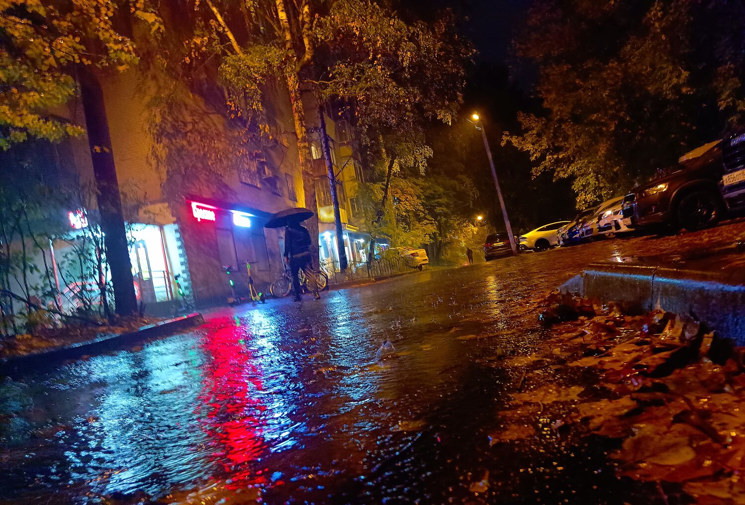 Photo #14099731